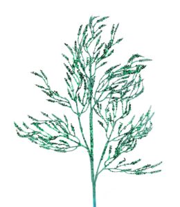 28″L Glitter/Hex Gltr Wild Twigs Spray